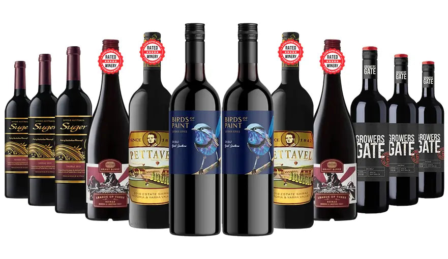 Crazy Shiraz Tasters Red Wine Mixed - 12 Bottles with silver medal wines