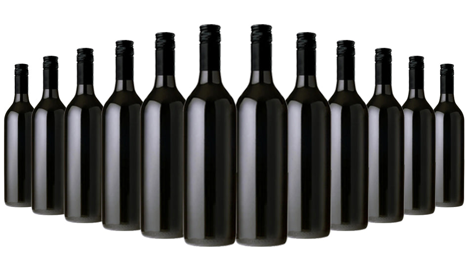 Salena Estate Cleanskin Shiraz 2023 - 12 Bottles
